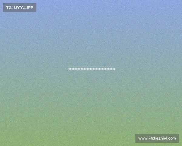 瓦斯科达伽马航海家哪个国家瓦斯科达伽马足球赛事激情角逐荣耀盛宴